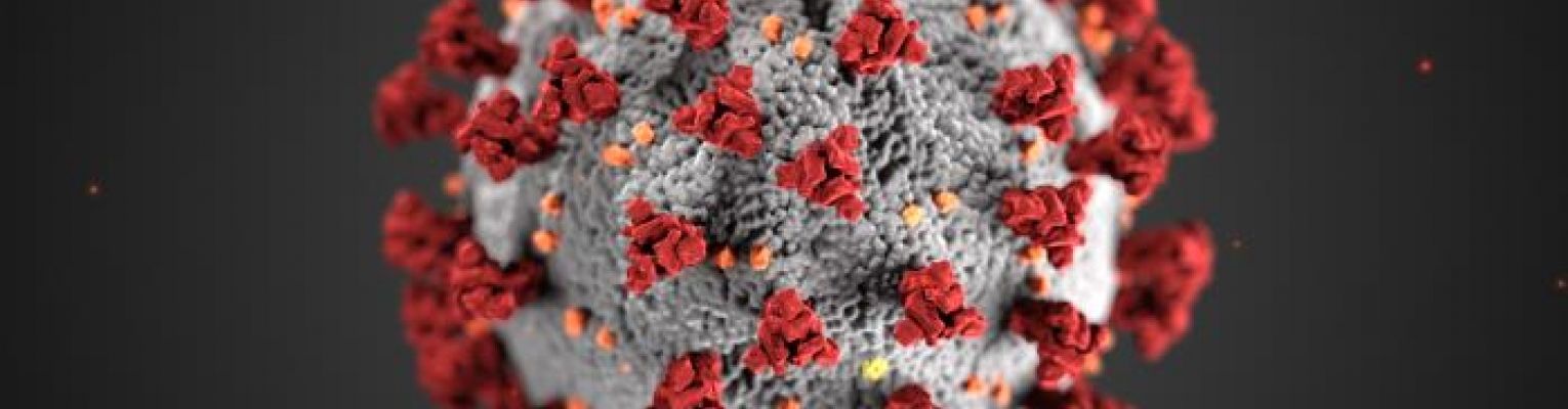 An illustration, created at the Centers for Disease Control and Prevention, showing ultrastructural morphology exhibited by coronaviruses; it is shaped like a ball with red growths around it.