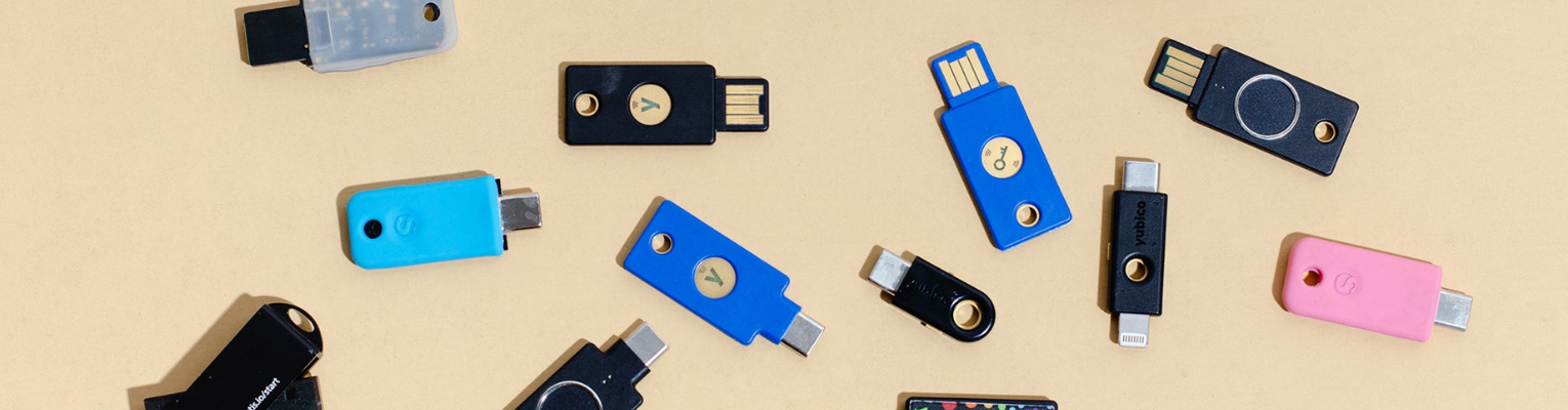 Ten security keys in different colors scattered out