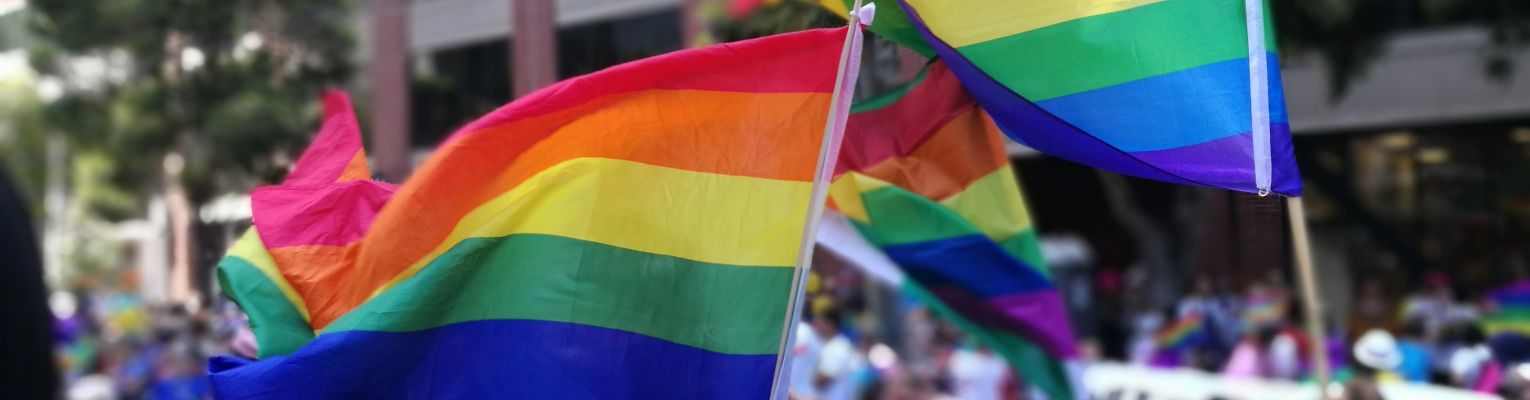 Two rainbow flags are held high by people in a crowd outside.