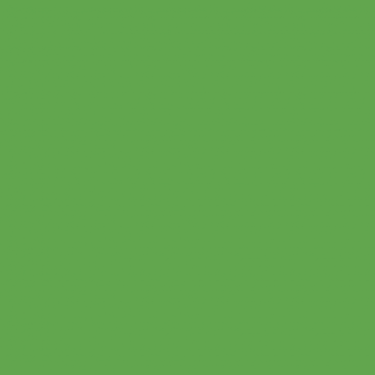 A solid green background.